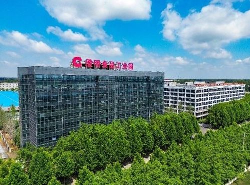 乘風(fēng)破浪,河南冷鏈物流企業(yè)助力食品產(chǎn)業(yè)駛向新藍海